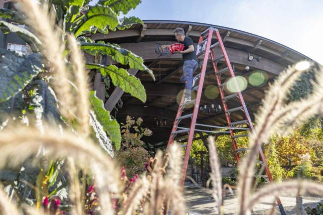 Turning lawns into lifelines Artist Matt Willey begins a honeybee mural at Crystal Springs resort.