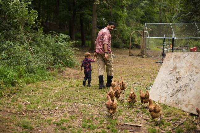 Samer Saleh and Noah, 2, with the laying flock