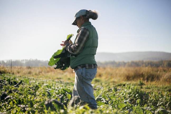 The coming of age of a Black woman farmer