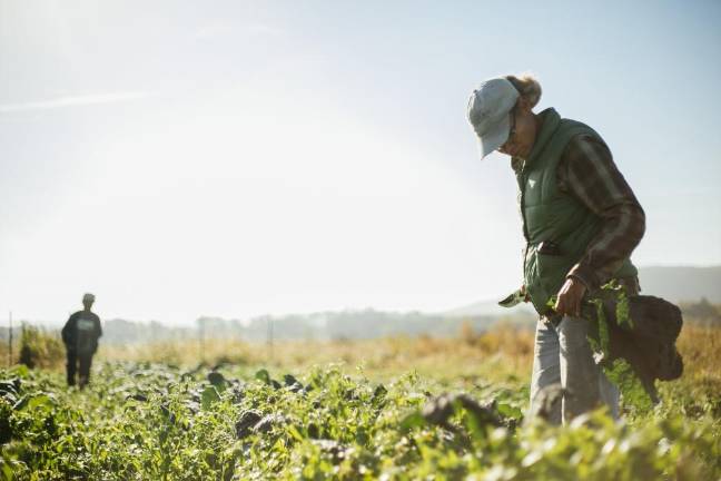 The coming of age of a Black woman farmer