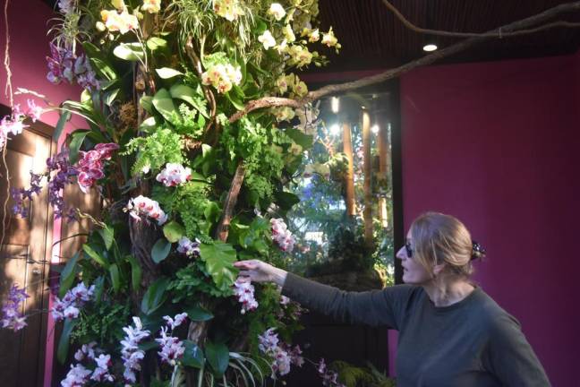 Ferns are used in the annual orchid show as a filler. The orchids are the filler, teases Weinstein.