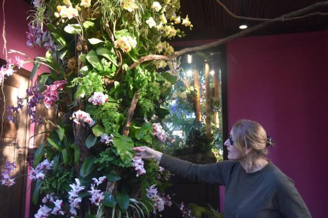 Frondly yours Ferns are used in the annual orchid show as a filler. The orchids are the filler, teases Weinstein.