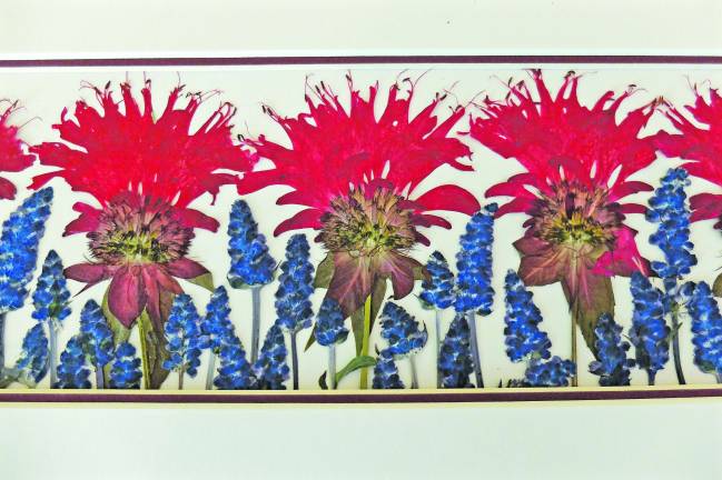 Mireille Munnelly&#x2019;s botanical picture, bee blam and lavendar