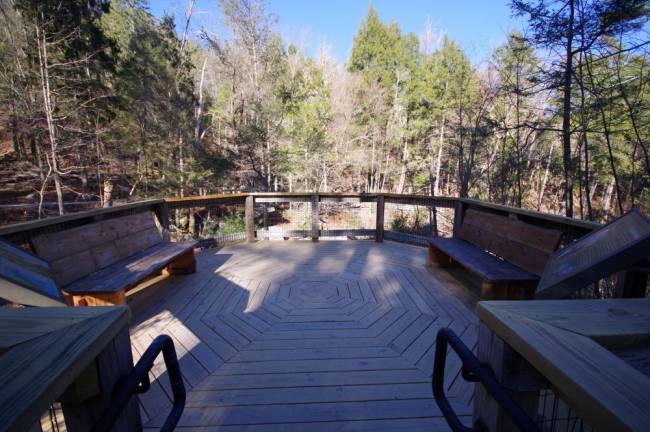 A hard-hit nature park’s comeback A hard-hit nature park’s comeback