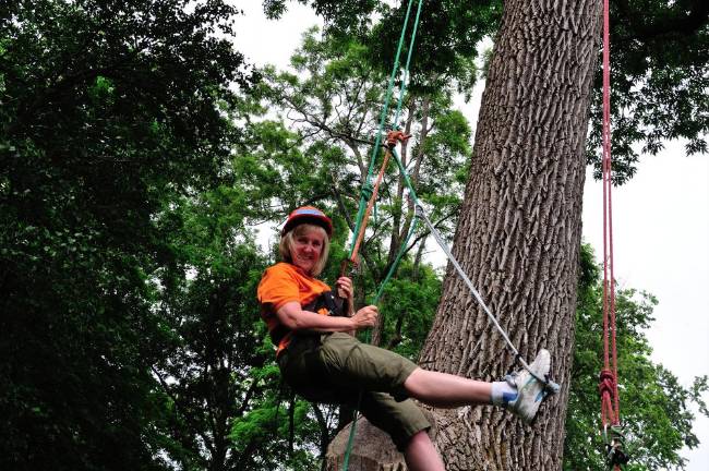 Meg Lowman rapelling down a tree.