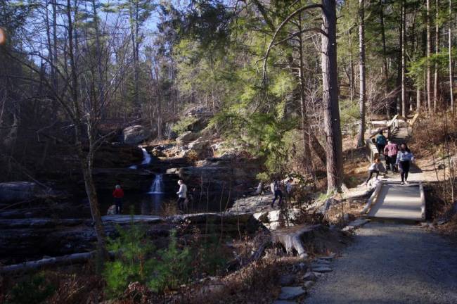 A hard-hit nature park’s comeback A hard-hit nature park’s comeback