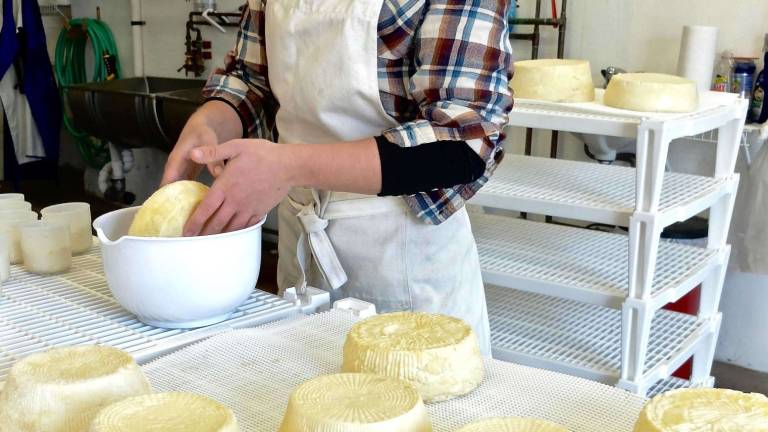 The nonchalant cheesemaker The nonchalant cheesemaker