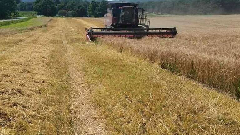 When high finance comes home to the farm When high finance comes home to the farm