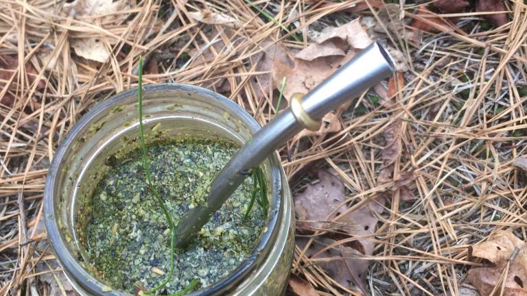 Brewing medicinal tea Brewing medicinal tea