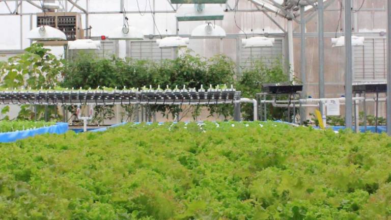 Locally grown meets high tech Locally grown meets high tech