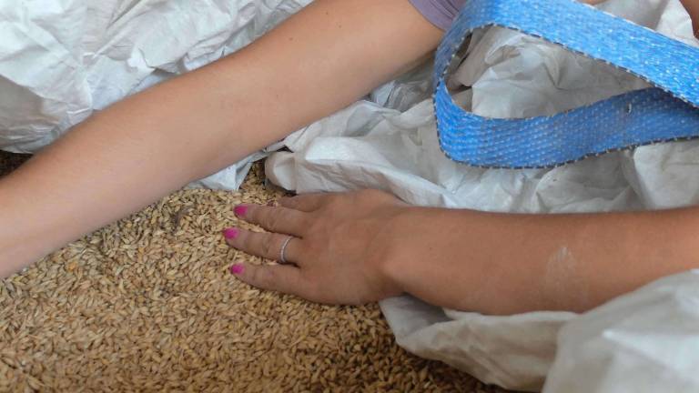 When high finance comes home to the farm When high finance comes home to the farm