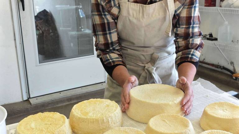 The nonchalant cheesemaker The nonchalant cheesemaker