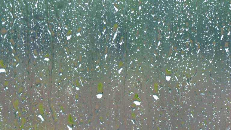 Rain Rain