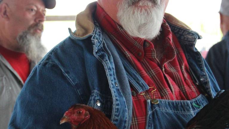 Washed, preened and keen on Champion Row Washed, preened and keen on Champion Row