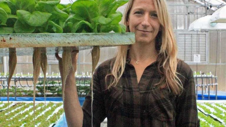 Locally grown meets high tech Locally grown meets high tech