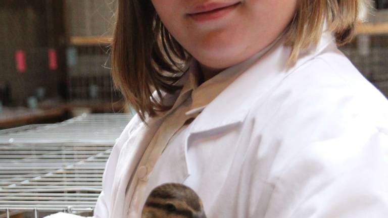 Washed, preened and keen on Champion Row Washed, preened and keen on Champion Row