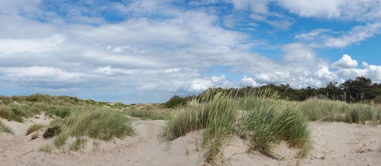 Jockey’s Ridge