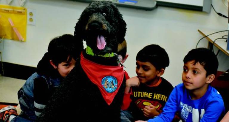 Designed to be petted and loved Profile: Sapphire Elementary, Harriman, NY