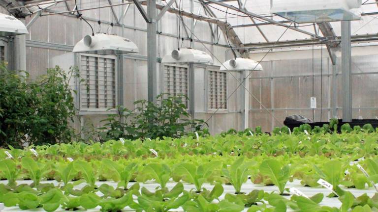 Locally grown meets high tech Locally grown meets high tech