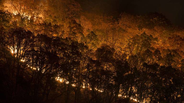 Fire on the mountain Fire on the mountain