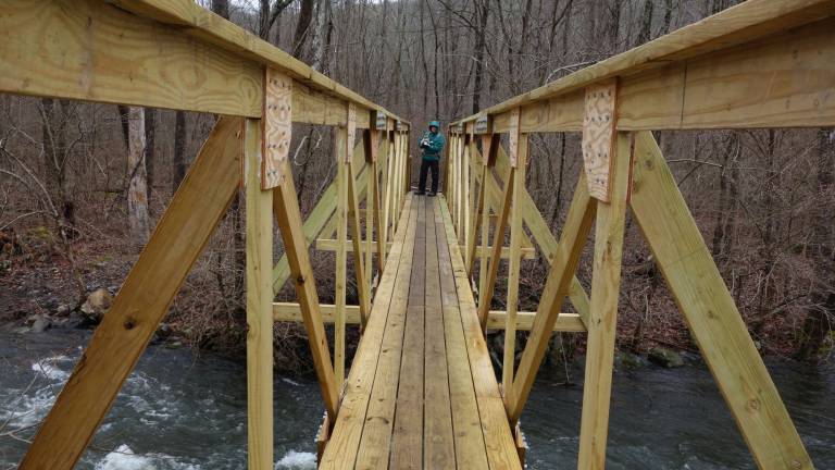 A big, beautiful footbridge A big, beautiful footbridge