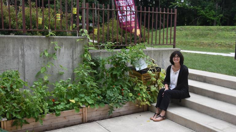 Greening your workplace Greening your workplace