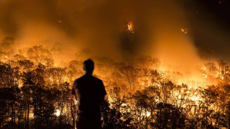 Fire on the mountain Fire on the mountain