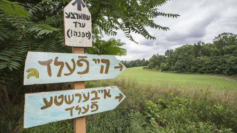 Growing a language, organically Growing a language, organically