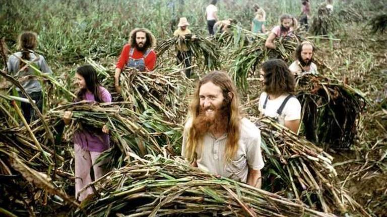 Inside the hippie cult Inside the hippie cult