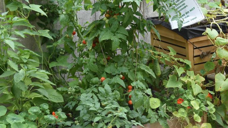 Greening your workplace Greening your workplace