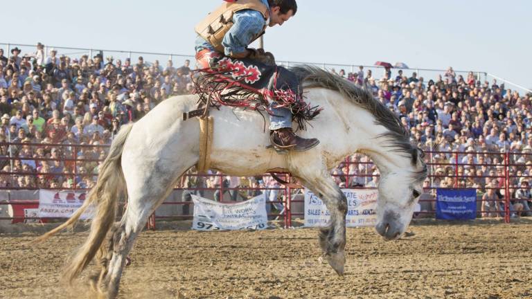 Flying cowboys Flying cowboys
