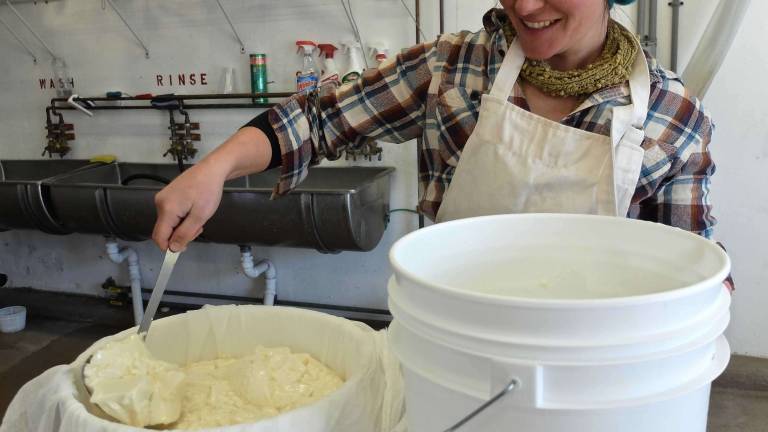 The nonchalant cheesemaker The nonchalant cheesemaker