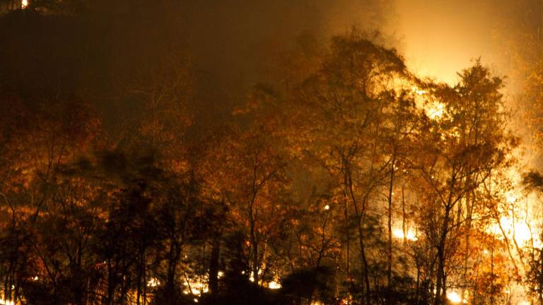 Fire on the mountain Fire on the mountain