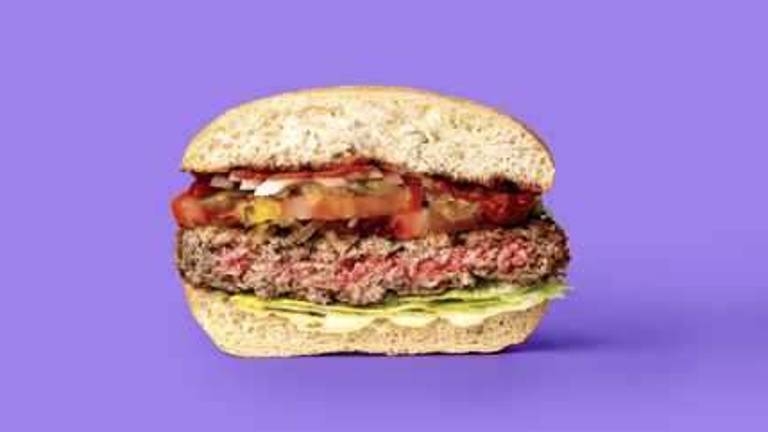 Hamburger vs. veggie burger Hamburger vs. veggie burger