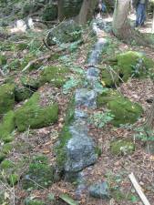On a remote, rocky hill along the Wallkill River, the Kittatinny Limestone is interspersed with thick bands of blue-gray chert, perfect for making the gun-flints that powered the Revolutionary War.