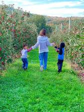The author’s kids wander the orchard.