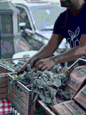 A volunteer at the Corbin Hill farmstand.