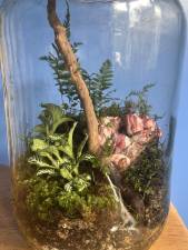 Garden in a pickle jar
