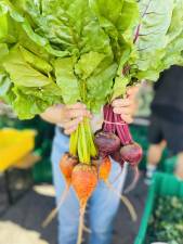 <b>Offering</b>, 2025 — Beacon Farmers’ Market (Long Season Farm)