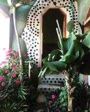 Inside the author’s simple survival-model Earthship, which she shared with tropical plants like a banana (right) and papaya (left) tree.