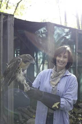 Author Suzie Gilbert with a Red-tailed Hawk, released soon after the photo.