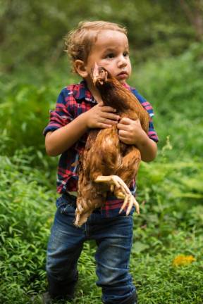 Noah, 2, holding a hen