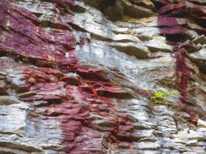 The real Rainbow Falls at Minnewaska State Park in Kerhonksen, NY.