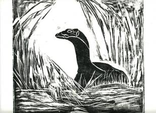 <i>A visitor</i>
