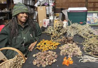 Sarah Elisabeth, an apothecary, edible landscaper and teacher