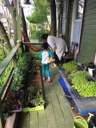 Selha Graham Ayala and her daughter, Carmen Luisa, selecting seedlings on Badila’s porch in Hudson, NY.