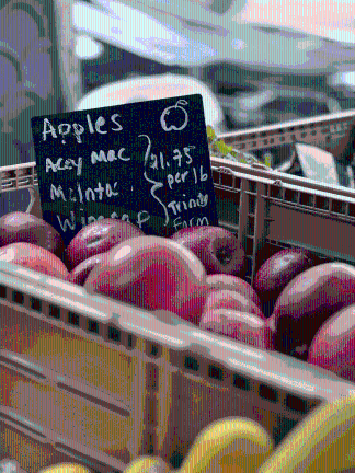 Apples grown by farmer David Haughton of Trinity Farms in Ulster County, NY. Originally from Jamaica, Haughton immigrated to New York as anapple picker before buying his own farm. He’s one of many Black farmers across New York State who work with Ecosystem partners to move produce.
