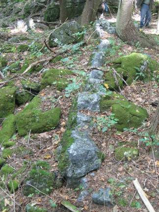 On a remote, rocky hill along the Wallkill River, the Kittatinny Limestone is interspersed with thick bands of blue-gray chert, perfect for making the gun-flints that powered the Revolutionary War.