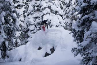 “The jumps here aren’t as big as they were in Colorado,” said Shortway, 30. “I’m definitely hitting everything Creek has.”