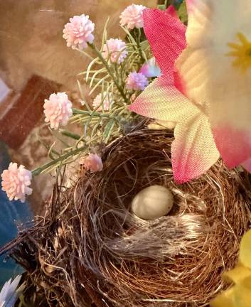 A house finch makes her nest